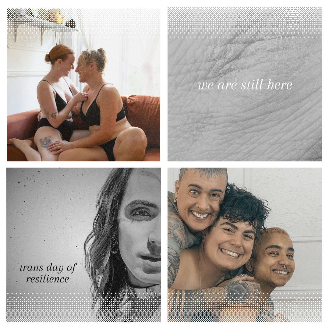 Trans Businesses to Support During Transgender Awareness Month (and All Year!)